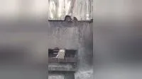 Professional Manufacturer Sharp Diamond Tools Segment for Cutting Granite Stone 